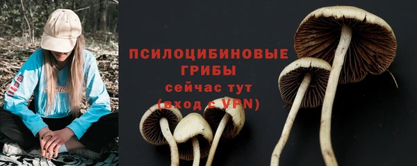 твердый Магадан