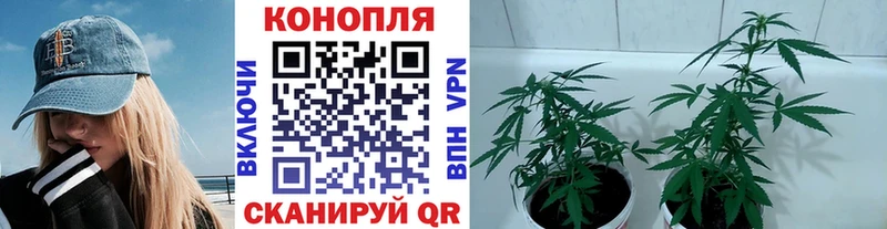 МЕГА сайт  Безенчук  Шишки марихуана гибрид  купить наркоту 